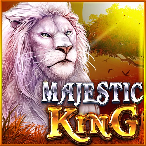 Jogo do aviãozinho de aposta